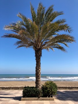 0Mf4lk2wTauYqy+0FfrwTw