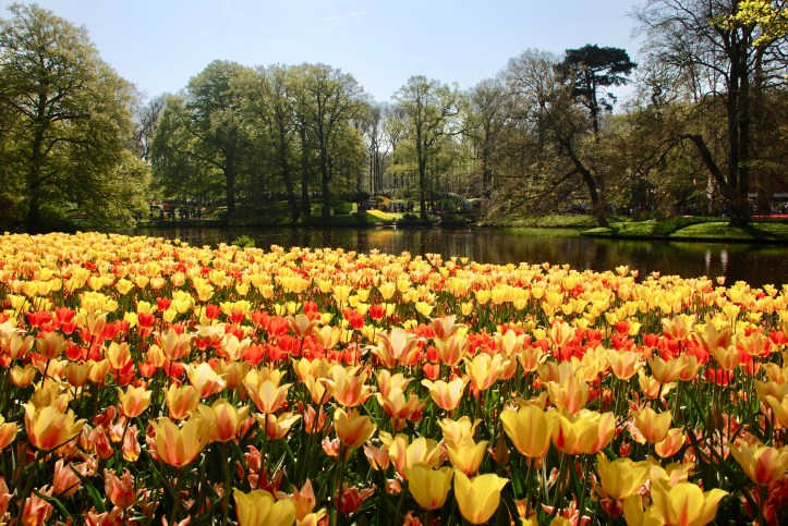 47938847-E0A9-473A-9766-68D0C3AD7215